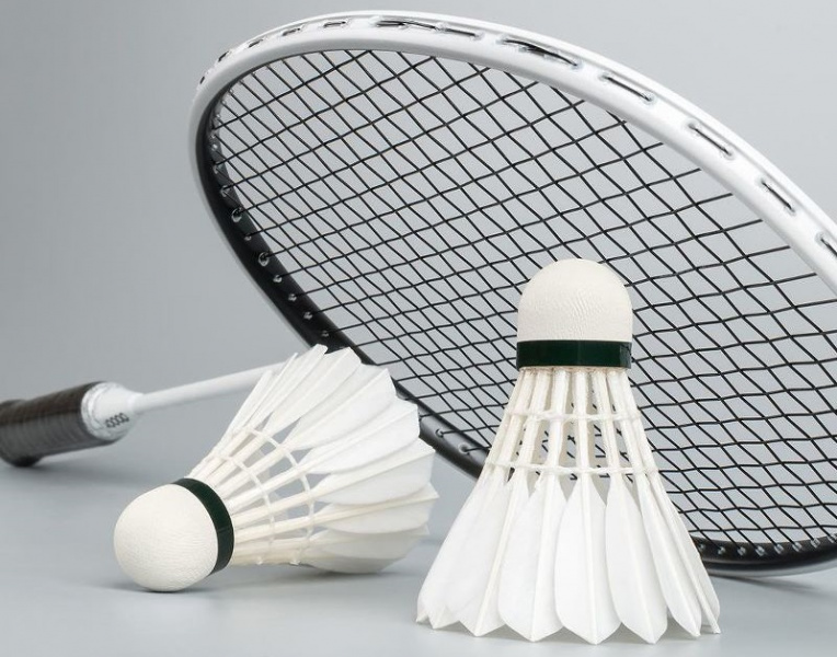 Набор перьевых воланов для бадминтона Xiaomi Dooot Badminton Entry level 12 шт (D03) фото 3